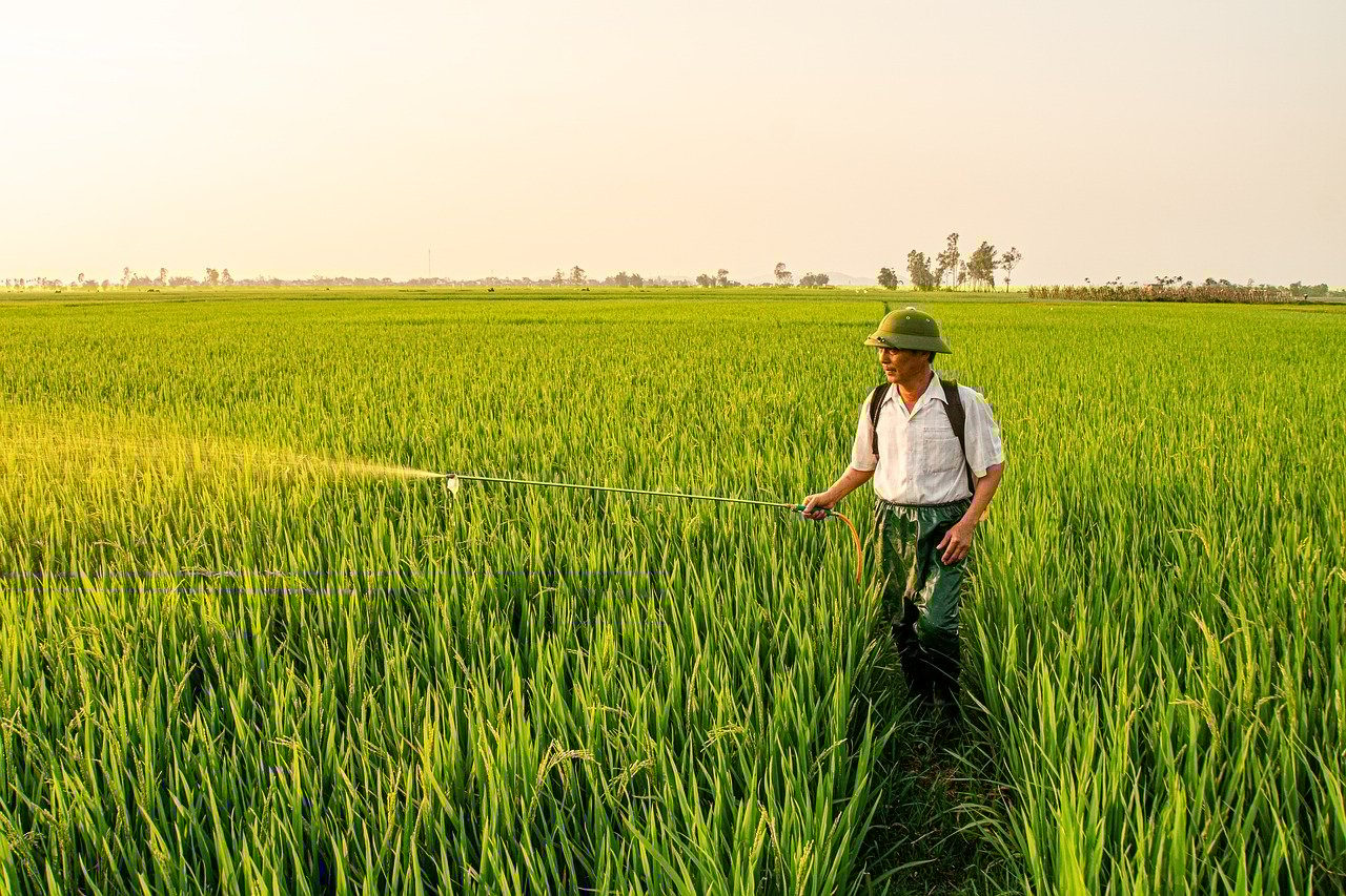 Visite de la forêt du BANCO